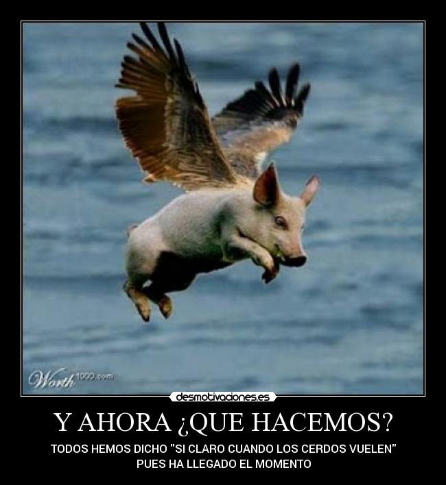Y AHORA ¿QUE HACEMOS? - TODOS HEMOS DICHO SI CLARO CUANDO LOS CERDOS VUELEN
PUES HA LLEGADO EL MOMENTO