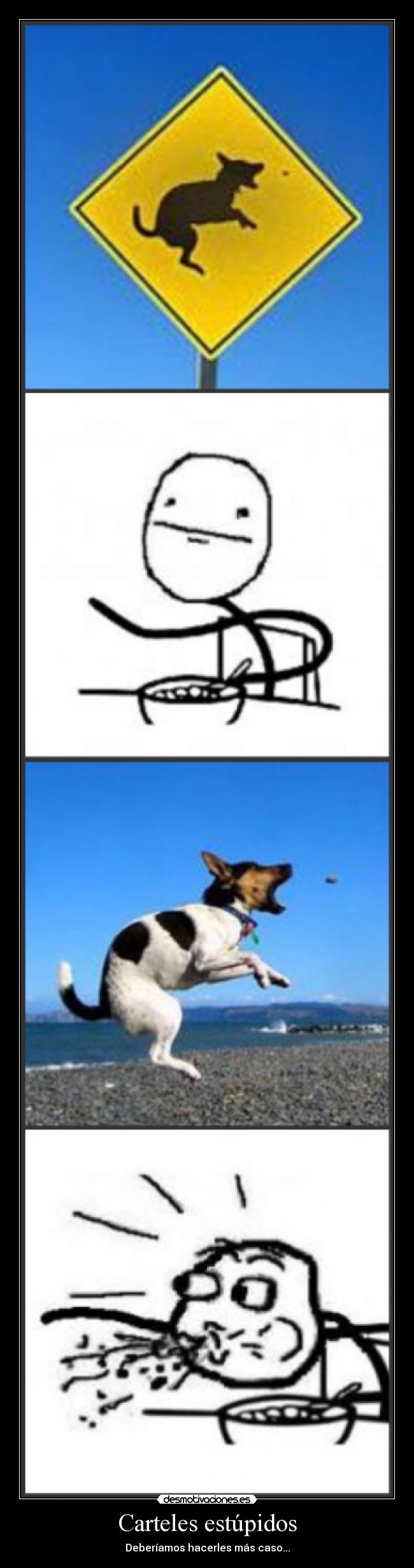GATOS ESTUPIDOS COM gatos estupidos com: