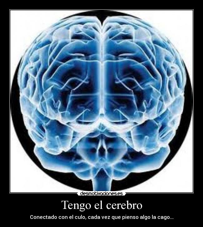 carteles tengo el cerebro conectado con el culo cada vez que pienso algo la cago desmotivaciones