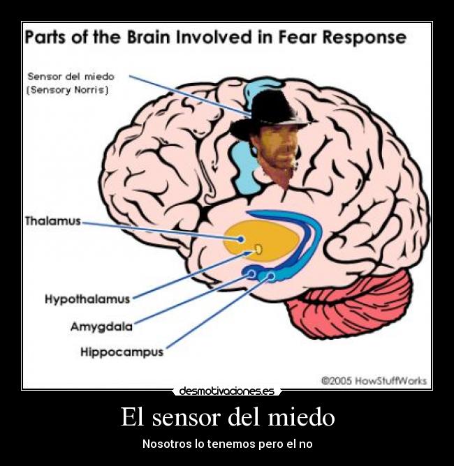 El sensor del miedo -