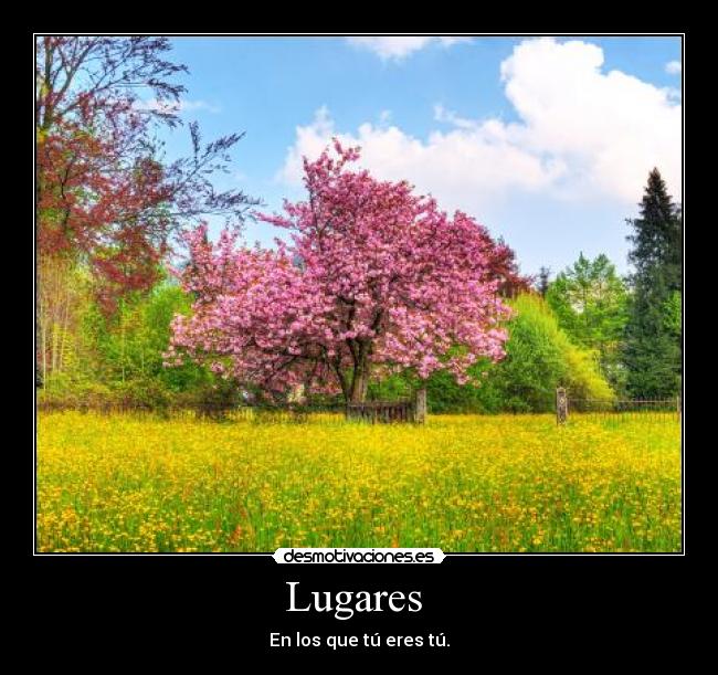 carteles lugares tu luckylucifer desmotivaciones