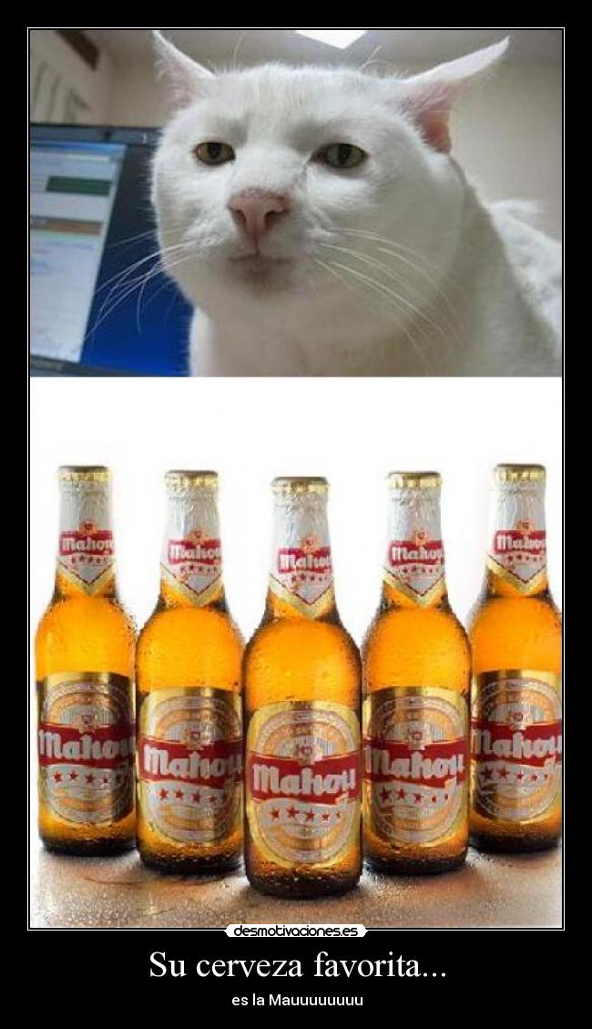 carteles maullido desmotivaciones