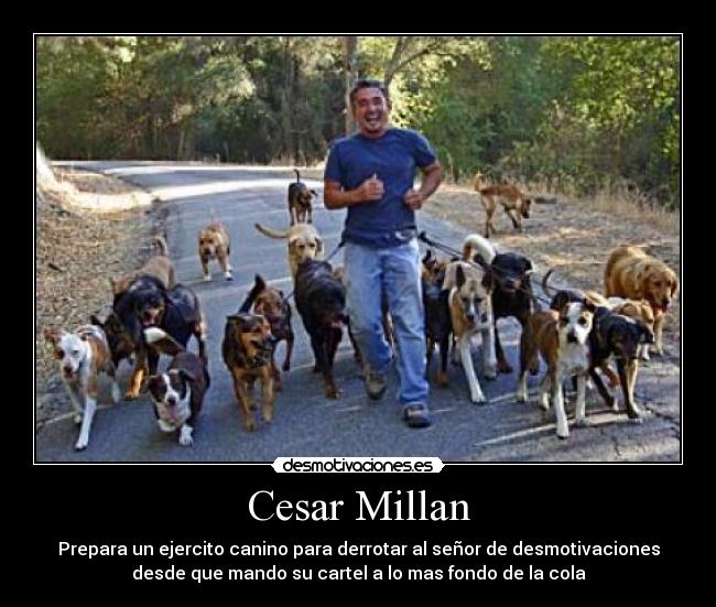 carteles encantador perros cesar millan caninos desmotivaciones