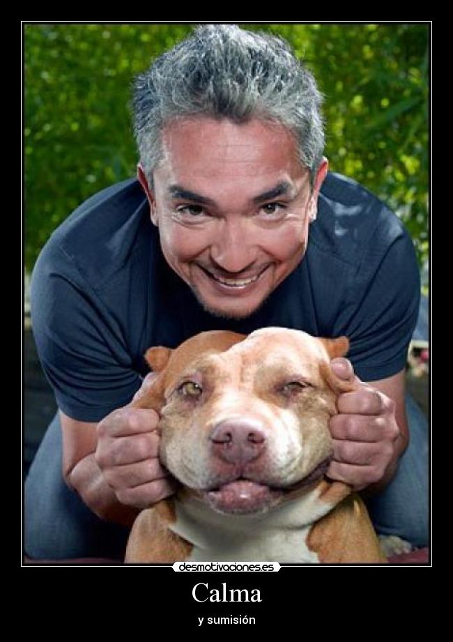 Calma - y sumisión