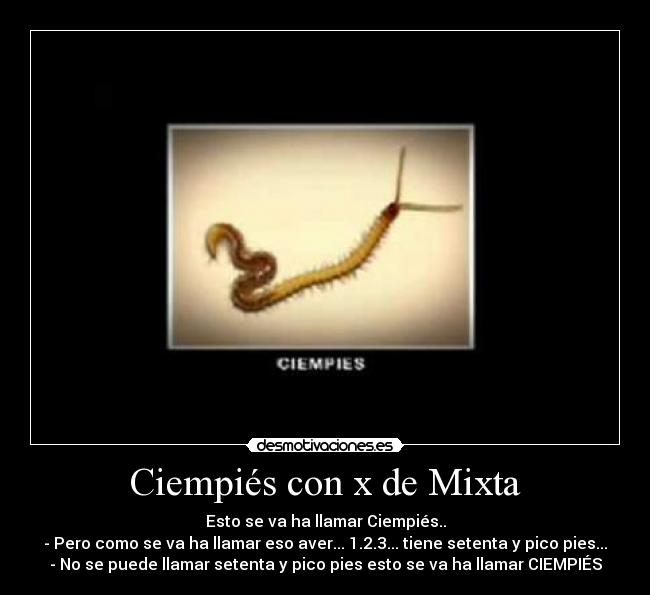 Ciempiés con x de Mixta -