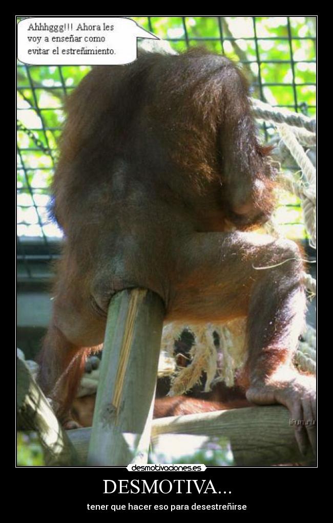DESMOTIVA... - tener que hacer eso para desestreñirse