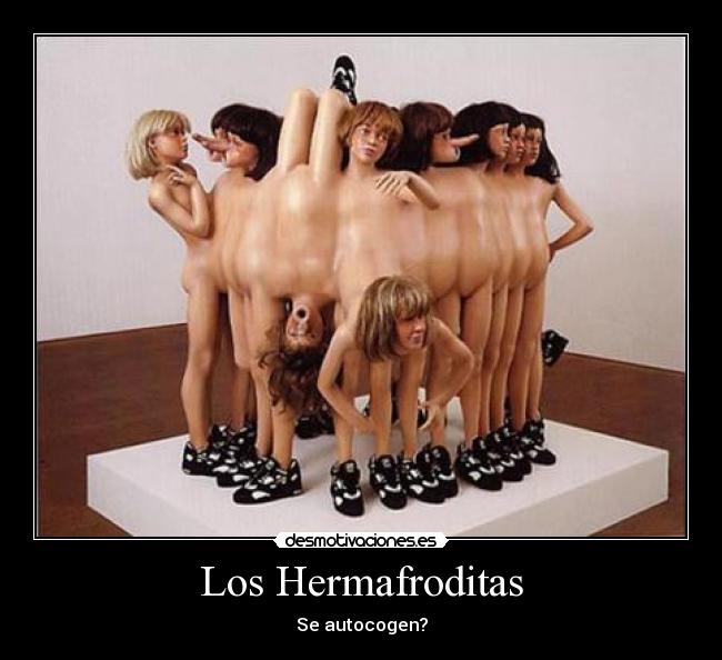 Los Hermafroditas - 