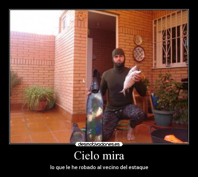 Cielo mira - lo que le he robado al vecino del estaque