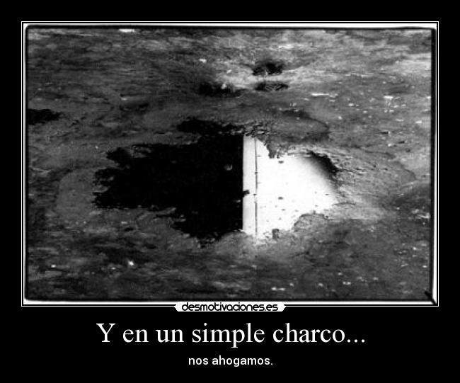 Y en un simple charco... -