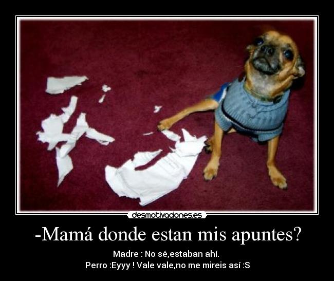 -Mamá donde estan mis apuntes? - 