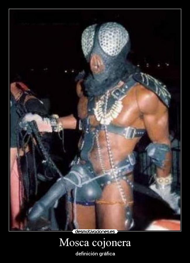 Mosca cojonera - definición gráfica