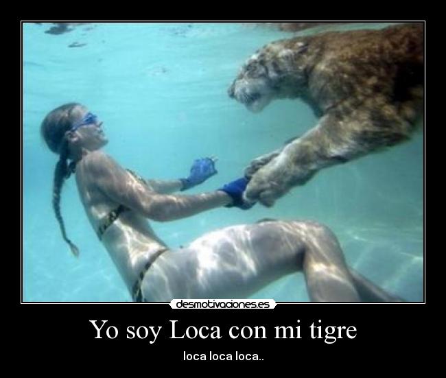 Yo soy Loca con mi tigre - loca loca loca..