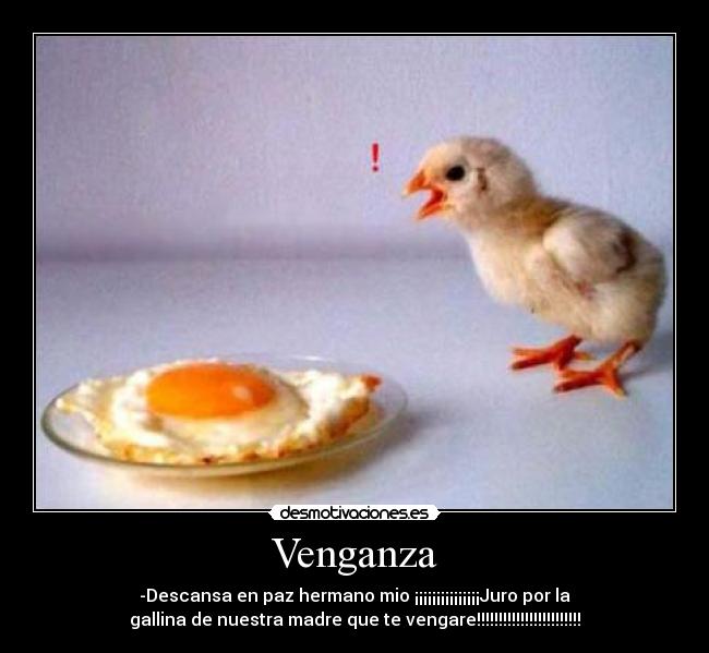 carteles pollos desmotivaciones