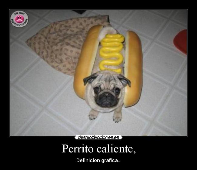 Perrito caliente, -