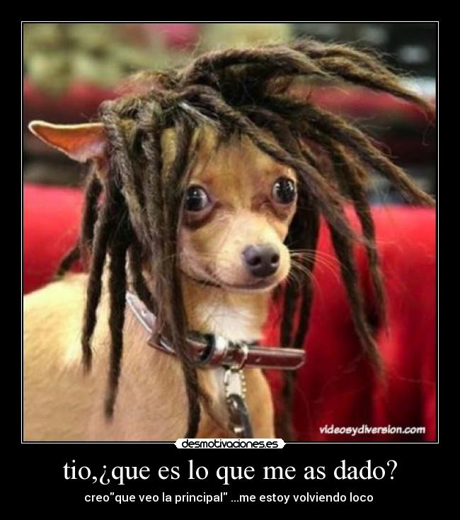 tio,¿que es lo que me as dado? - creoque veo la principal ...me estoy volviendo loco