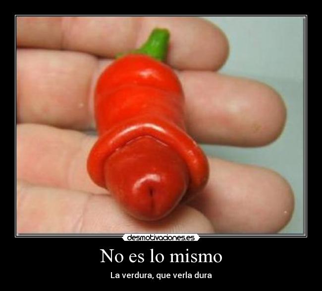 carteles chili pene desmotivaciones