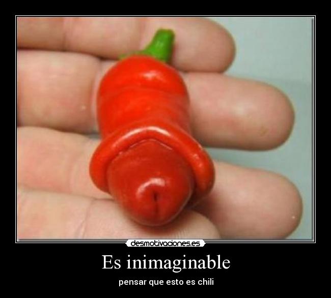 Es inimaginable -