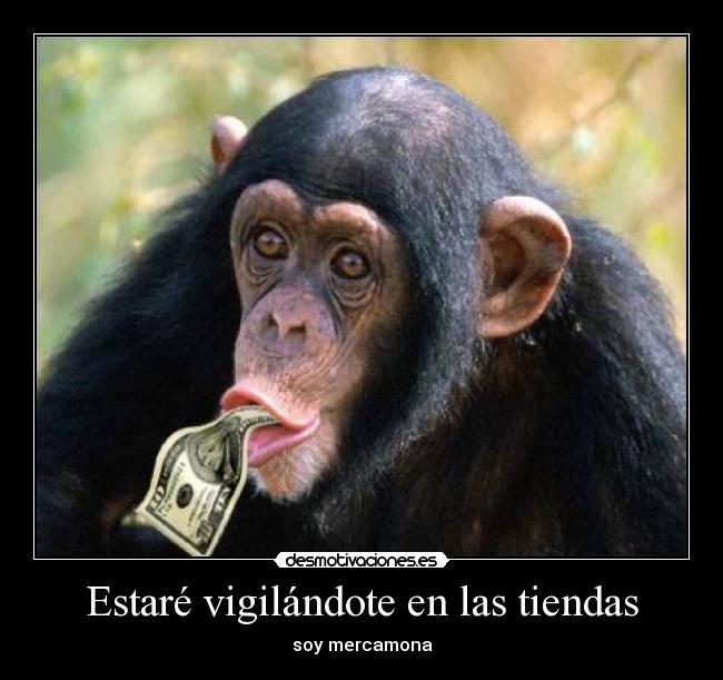 Estaré vigilándote en las tiendas -