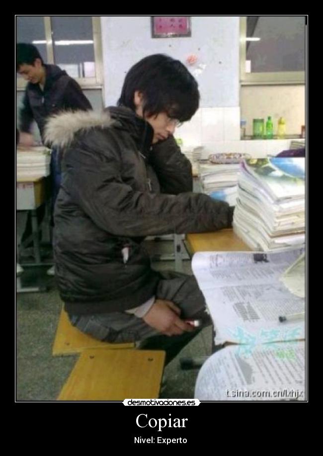 Copiar -