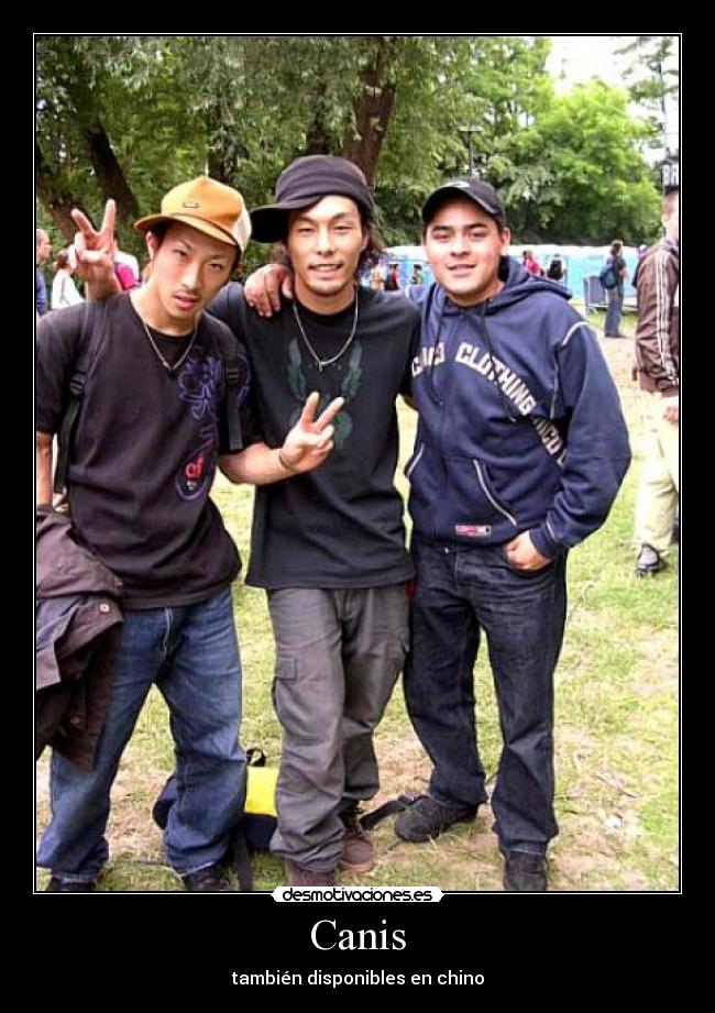 Canis - también disponibles en chino