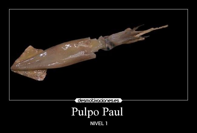Pulpo Paul -