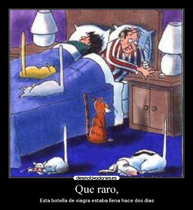 Que raro, - Esta botella de viagra estaba llena hace dos dias