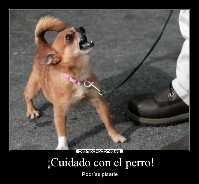 ¡Cuidado con el perro! -