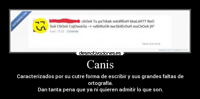 Canis - Caracterizados por su cutre forma de escribir y sus grandes faltas de ortografía.
Dan tanta pena que ya ni quieren admitir lo que son.