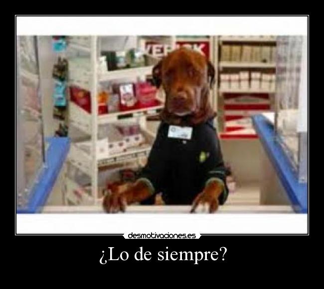 ¿Lo de siempre? - 