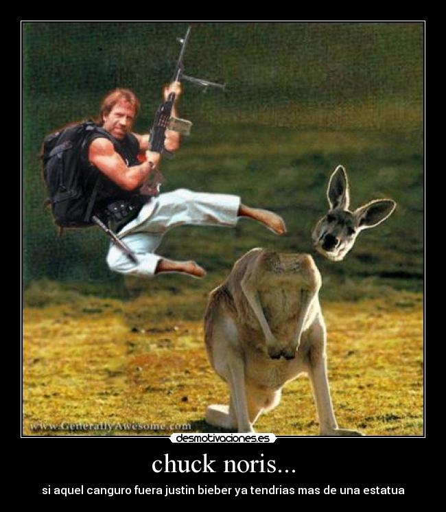 chuck noris... -