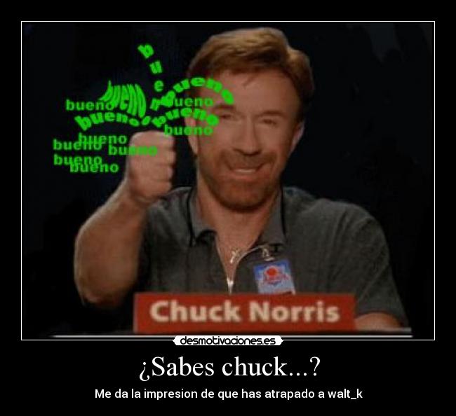 ¿Sabes chuck...? - Me da la impresion de que has atrapado a walt_k