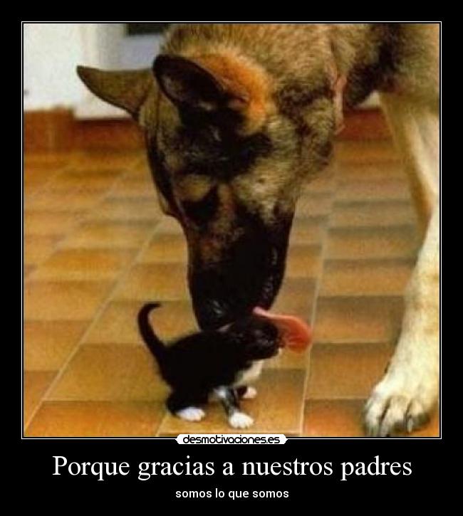 Porque gracias a nuestros padres - 