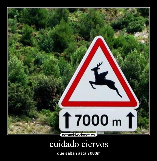 cuidado ciervos - 