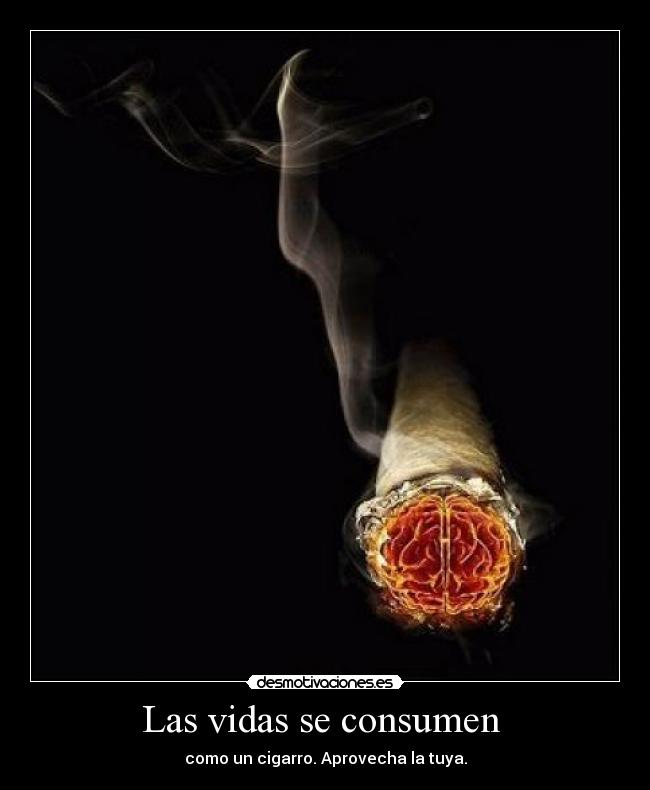 Las vidas se consumen  - como un cigarro. Aprovecha la tuya.