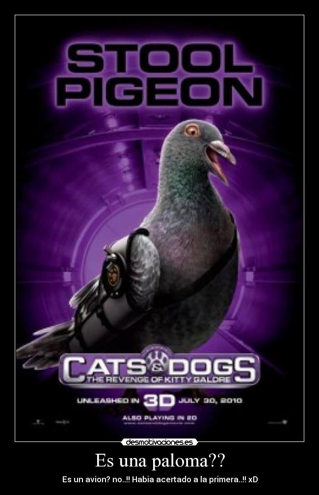 Es una paloma?? -