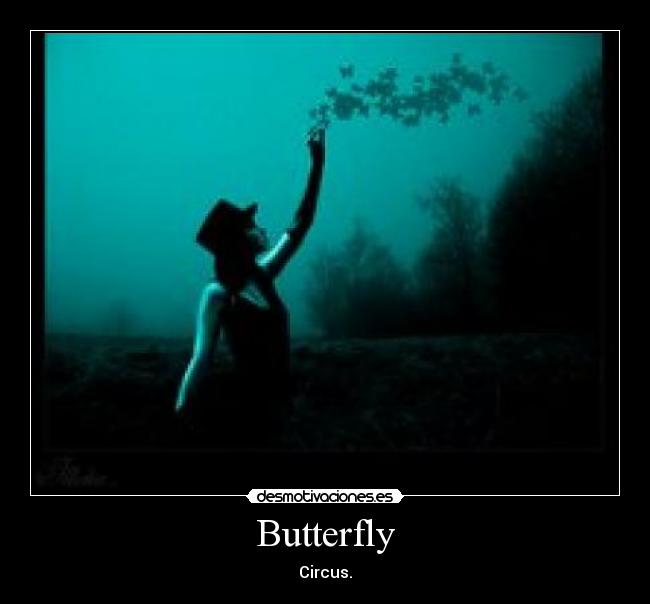 Butterfly - Circus.