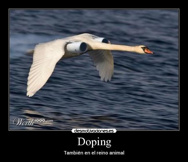 Doping - 