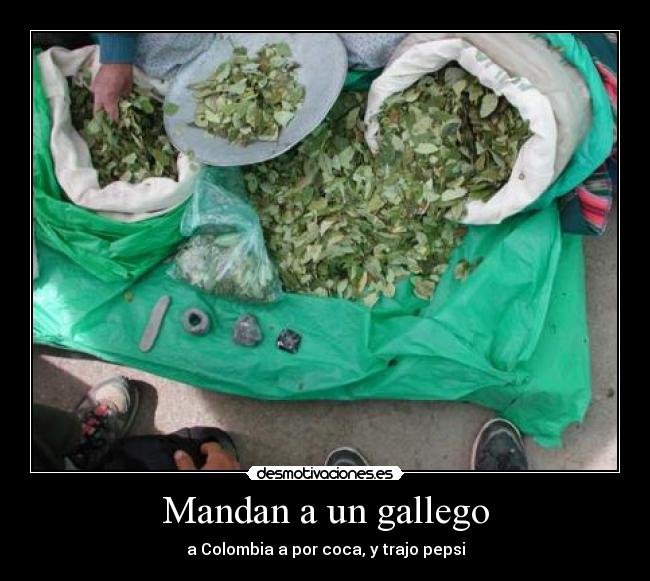 Mandan a un gallego - 