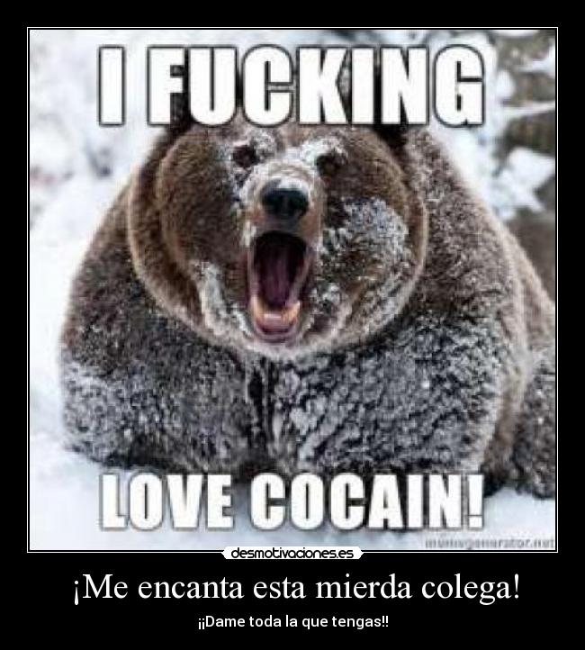 ¡Me encanta esta mierda colega! - ¡¡Dame toda la que tengas!!