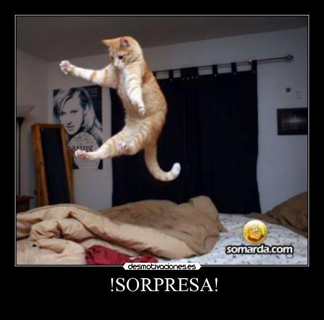 !SORPRESA! - 