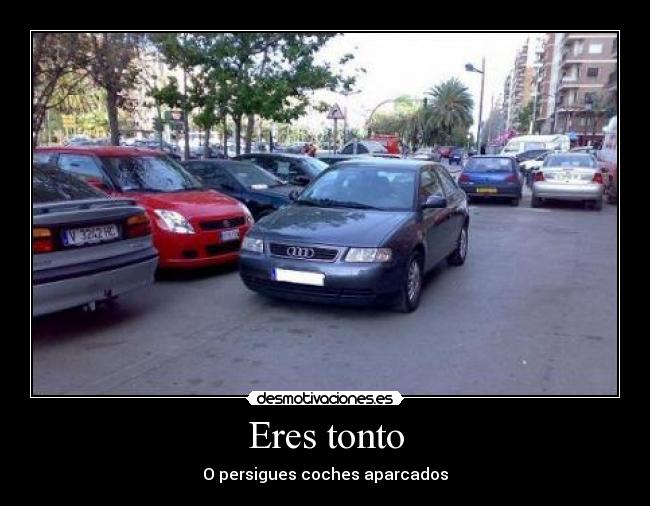 Eres tonto -
