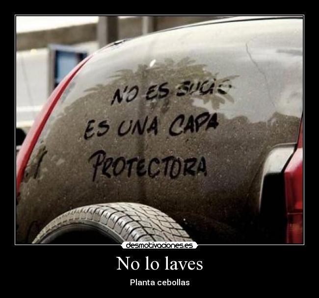 No lo laves - Planta cebollas