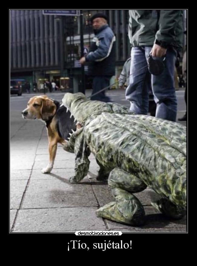 carteles cocodrilos calle desmotivaciones