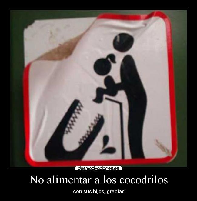 No alimentar a los cocodrilos - 