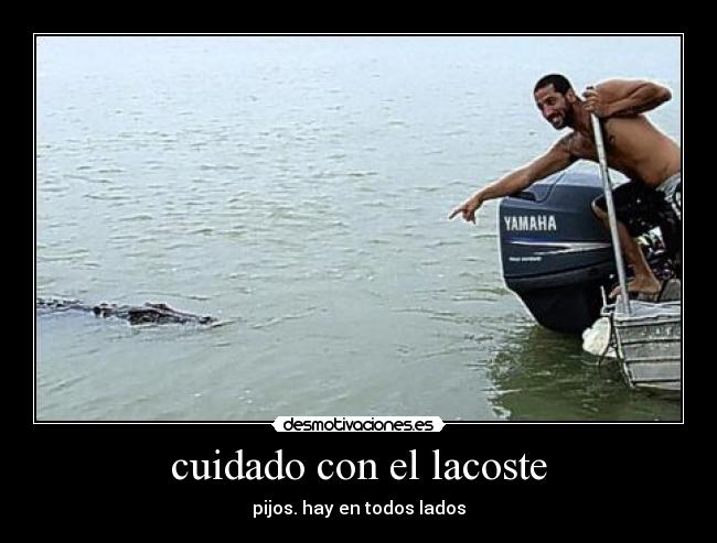 cuidado con el lacoste - pijos. hay en todos lados