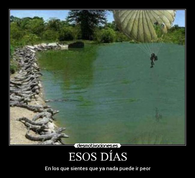carteles aterrizaje jodido cocodrilos desmotivaciones