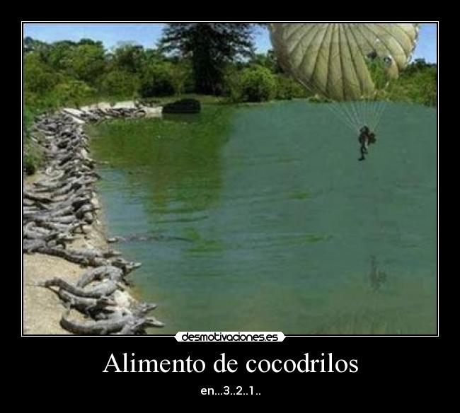 Alimento de cocodrilos -