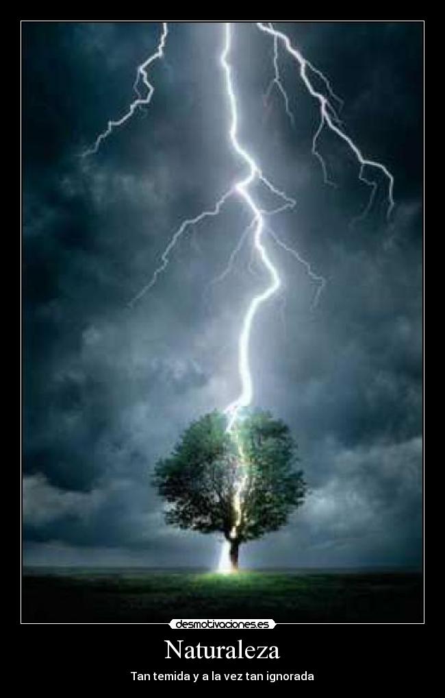 Naturaleza - Tan temida y a la vez tan ignorada