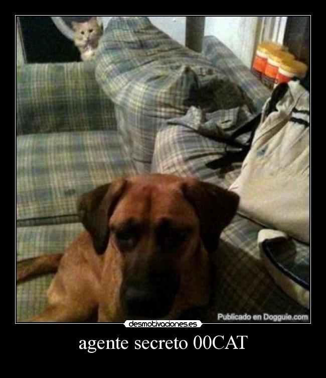 agente secreto 00CAT -