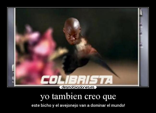 yo tambien creo que - 